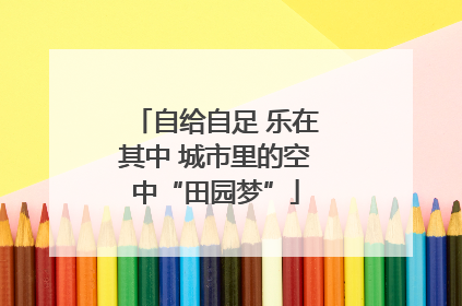 自给自足 乐在其中 城市里的空中“田园梦”