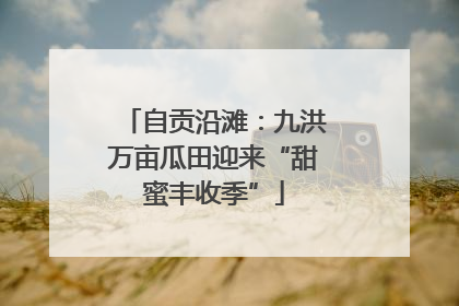 自贡沿滩：九洪万亩瓜田迎来“甜蜜丰收季”