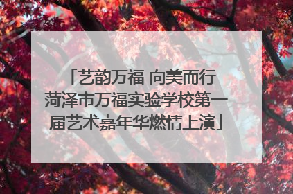 艺韵万福 向美而行 菏泽市万福实验学校第一届艺术嘉年华燃情上演