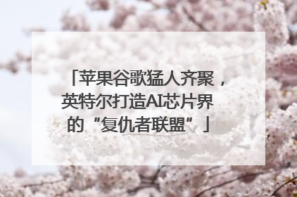 苹果谷歌猛人齐聚，英特尔打造AI芯片界的“复仇者联盟”