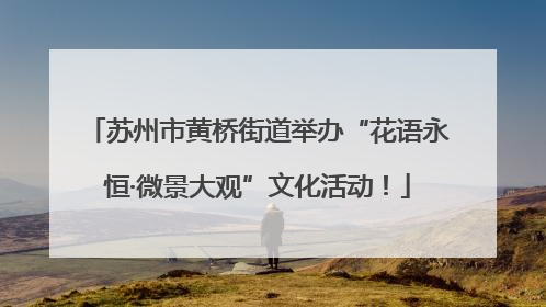 苏州市黄桥街道举办“花语永恒·微景大观”文化活动！