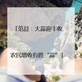 范县：大蒜迎丰收 农民增收有胜“蒜”