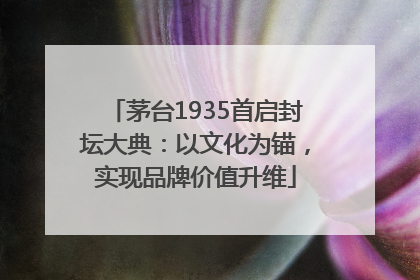 茅台1935首启封坛大典：以文化为锚，实现品牌价值升维