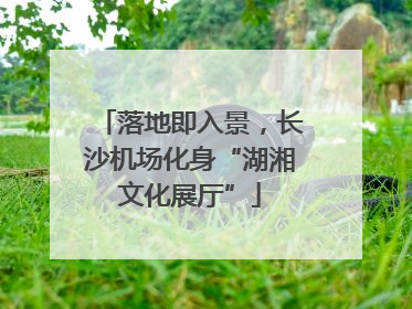 落地即入景，长沙机场化身“湖湘文化展厅”