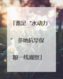 蓄足“水动力” 多地抗旱保粮一线观察