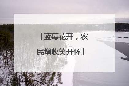 蓝莓花开，农民增收笑开怀