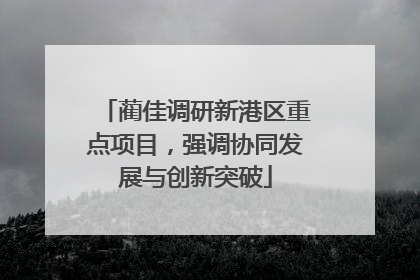 蔺佳调研新港区重点项目，强调协同发展与创新突破