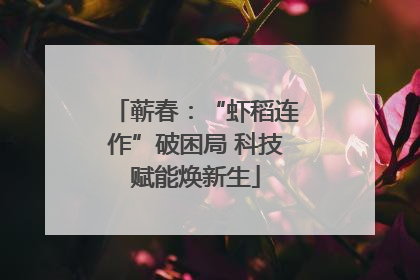蕲春：“虾稻连作”破困局 科技赋能焕新生