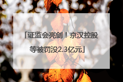 证监会亮剑！京汉控股等被罚没2.3亿元