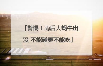 警惕！雨后大蜗牛出没 不能碰更不能吃