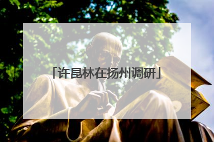 许昆林在扬州调研