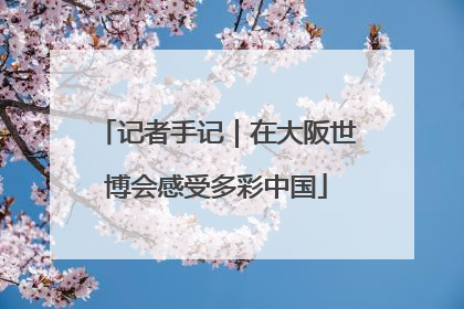 记者手记｜在大阪世博会感受多彩中国