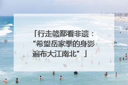 行走赣鄱看非遗：“希望岳家拳的身影遍布大江南北”
