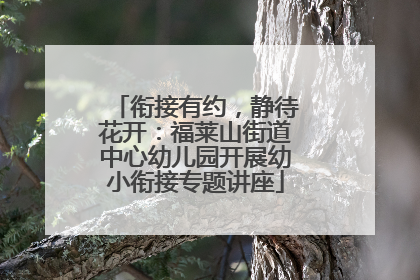 衔接有约，静待花开：福莱山街道中心幼儿园开展幼小衔接专题讲座