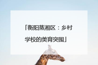 衡阳蒸湘区：乡村学校的美育突围
