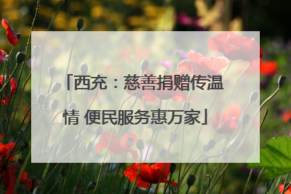 西充：慈善捐赠传温情 便民服务惠万家