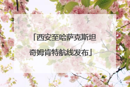 西安至哈萨克斯坦奇姆肯特航线发布