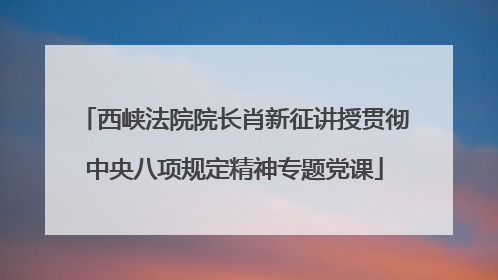 西峡法院院长肖新征讲授贯彻中央八项规定精神专题党课