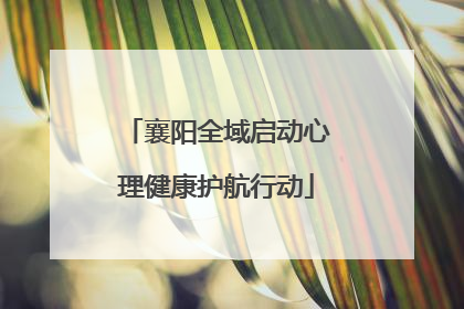 襄阳全域启动心理健康护航行动