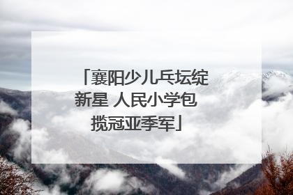 襄阳少儿乓坛绽新星 人民小学包揽冠亚季军