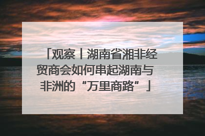 观察丨湖南省湘非经贸商会如何串起湖南与非洲的“万里商路”