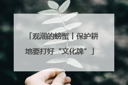 观潮的螃蟹丨保护耕地要打好“文化牌”