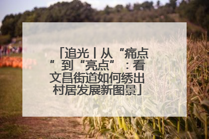 追光丨从“痛点”到“亮点”：看文昌街道如何绣出村居发展新图景