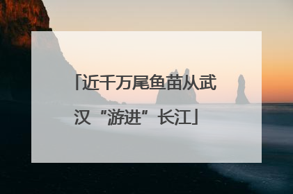 近千万尾鱼苗从武汉“游进”长江