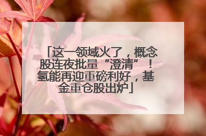 这一领域火了，概念股连夜批量“澄清”！氢能再迎重磅利好，基金重仓股出炉