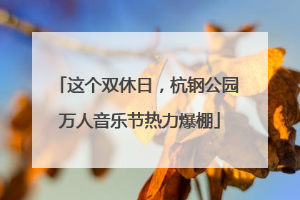 这个双休日，杭钢公园万人音乐节热力爆棚