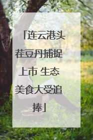 连云港头茬豆丹捕捉上市 生态美食大受追捧