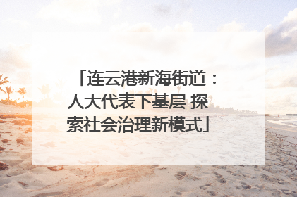 连云港新海街道：人大代表下基层 探索社会治理新模式