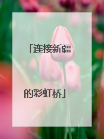 连接新疆的彩虹桥