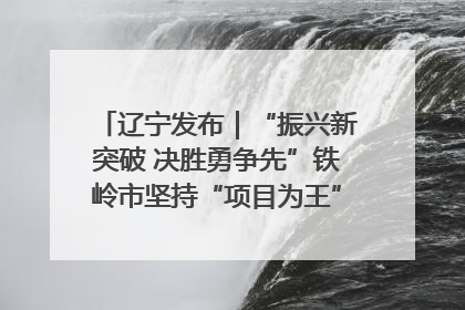 辽宁发布｜“振兴新突破 决胜勇争先”铁岭市坚持“项目为王”推进经济高质量发展