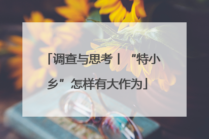 调查与思考丨“特小乡”怎样有大作为