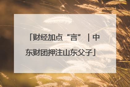 财经加点“言”｜中东财团押注山东父子