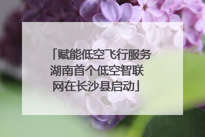 赋能低空飞行服务 湖南首个低空智联网在长沙县启动