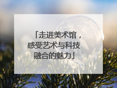 走进美术馆，感受艺术与科技融合的魅力