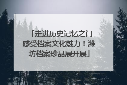 走进历史记忆之门 感受档案文化魅力！潍坊档案珍品展开展