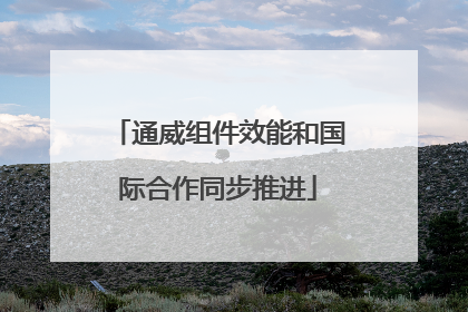 通威组件效能和国际合作同步推进