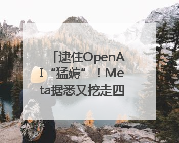 逮住OpenAI“猛薅”！Meta据悉又挖走四位知名研究人员