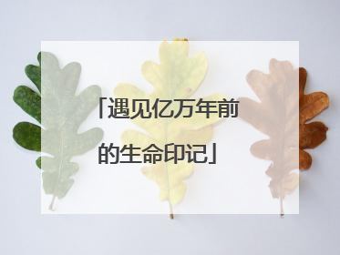 遇见亿万年前的生命印记