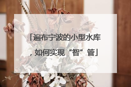 遍布宁波的小型水库，如何实现“智”管