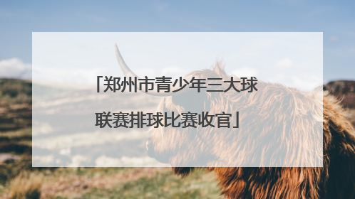 郑州市青少年三大球联赛排球比赛收官