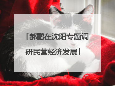 郝鹏在沈阳专题调研民营经济发展