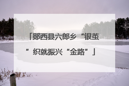 郧西县六郎乡“银茧”织就振兴“金路”