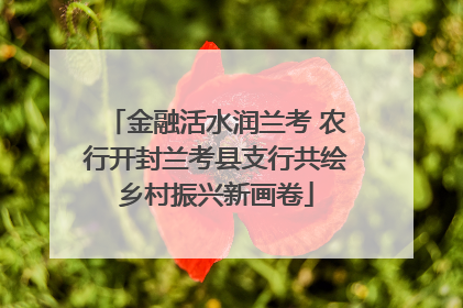 金融活水润兰考 农行开封兰考县支行共绘乡村振兴新画卷