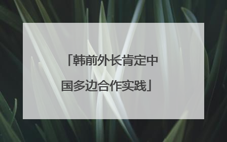 韩前外长肯定中国多边合作实践
