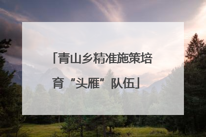 青山乡精准施策培育“头雁”队伍
