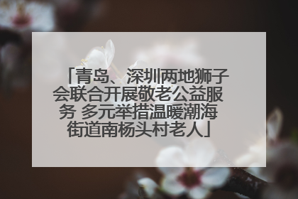 青岛、深圳两地狮子会联合开展敬老公益服务 多元举措温暖潮海街道南杨头村老人